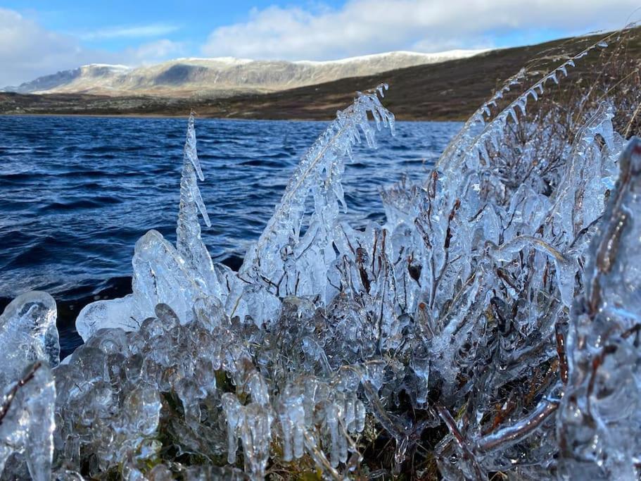 Delikat Hytte Omgitt Av Hallingdals Vakre Fjell Al Luaran gambar
